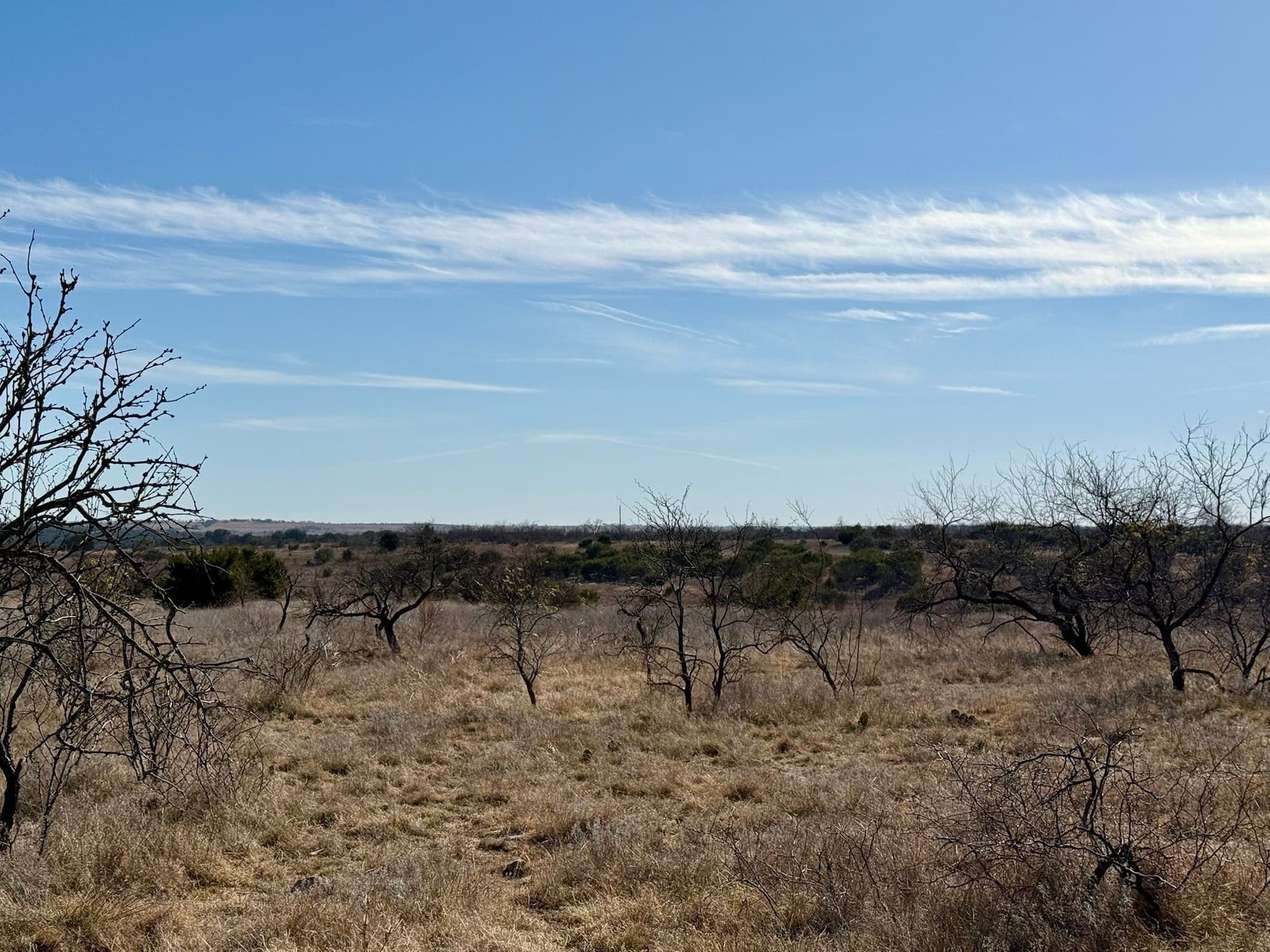 20.02 acres in Hamilton County - photo 10