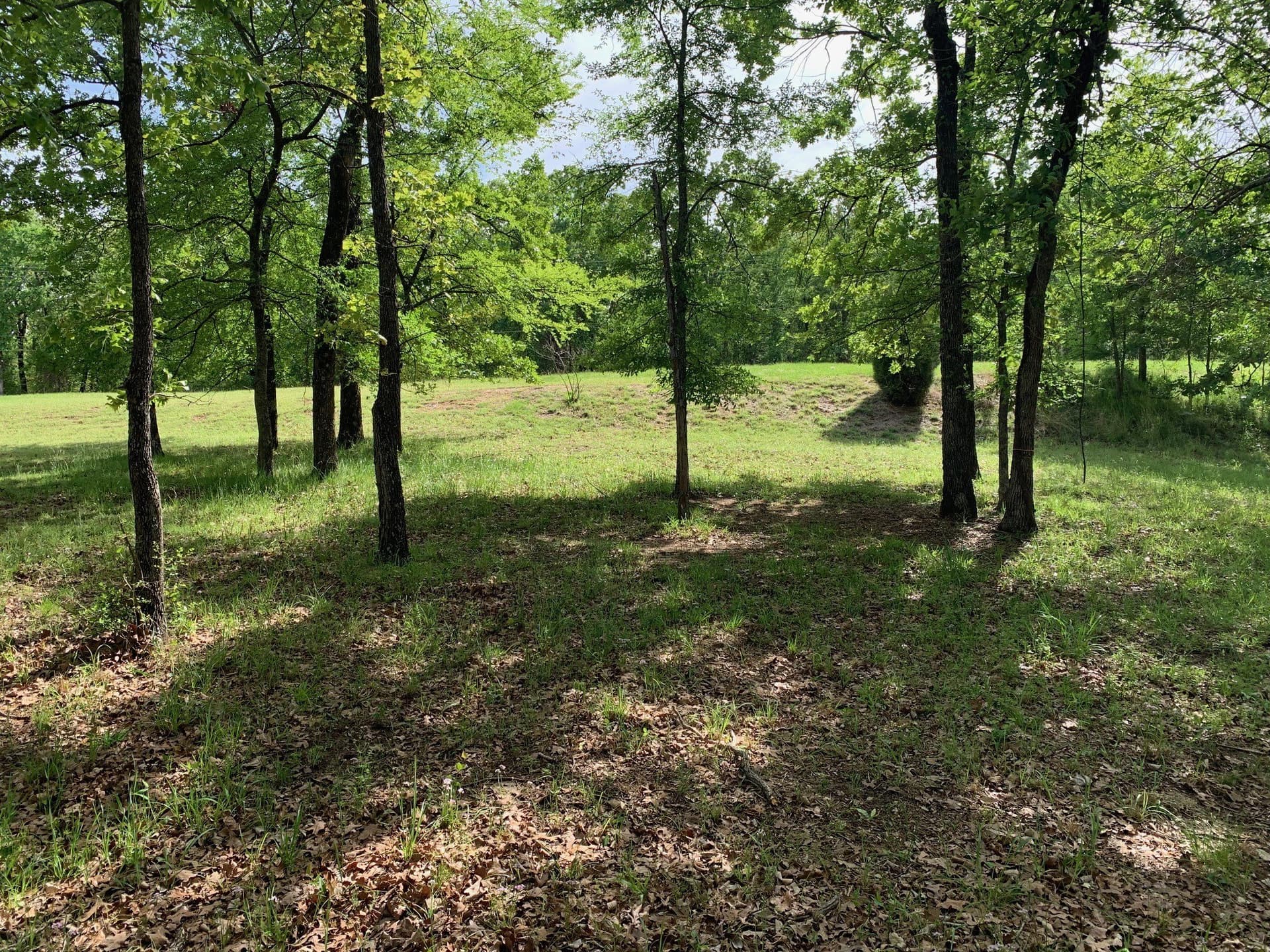 1.03 acres in Henderson County - photo 7