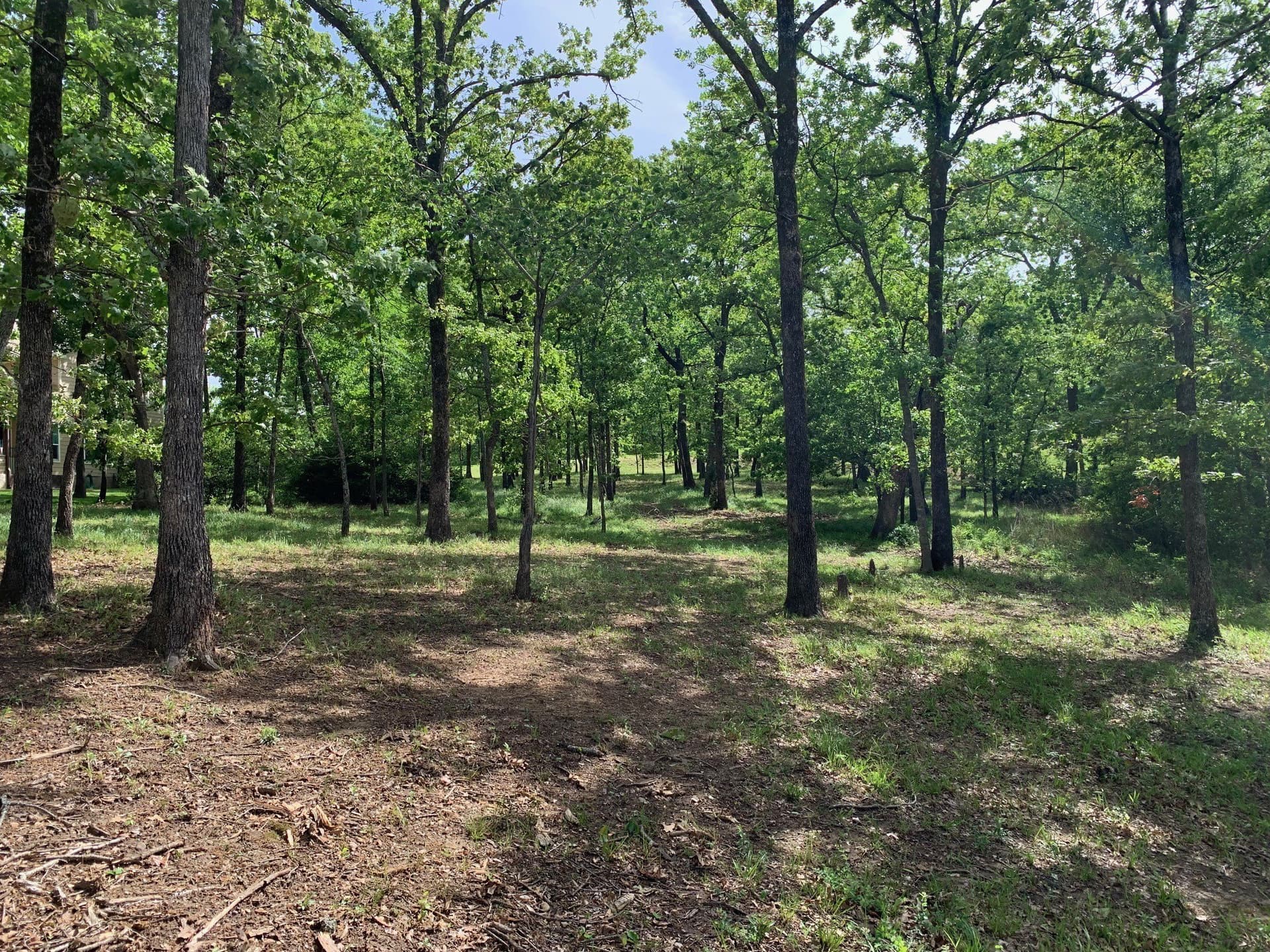 1.03 acres in Henderson County - photo 6