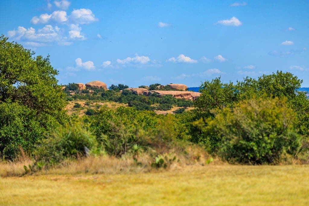 73.3 acres in Gillespie County - photo 45