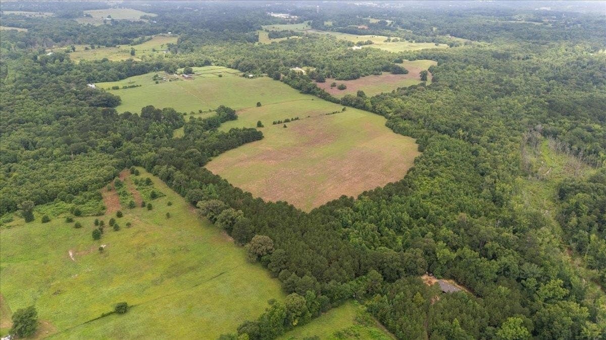 93.3 acres in Upshur County - photo 43