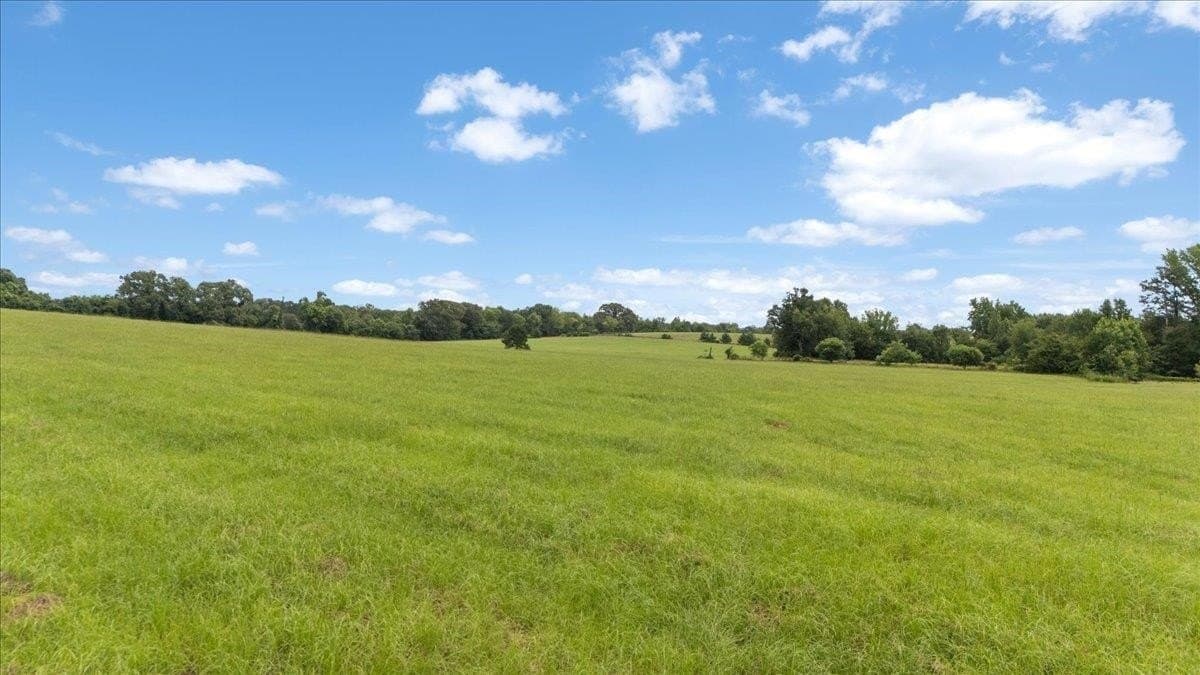 93.3 acres in Upshur County - photo 48