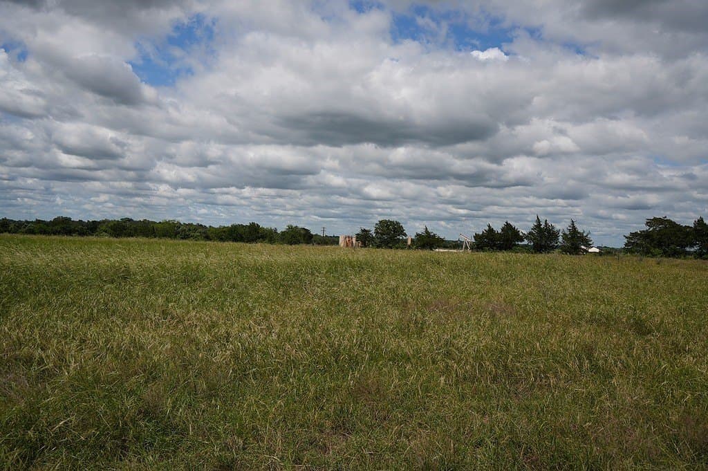 39.14 acres in Fayette County gallery image 4
