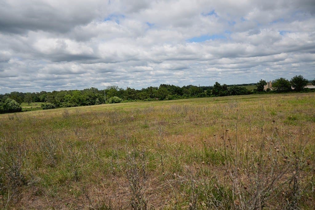 39.14 acres in Fayette County gallery image 3