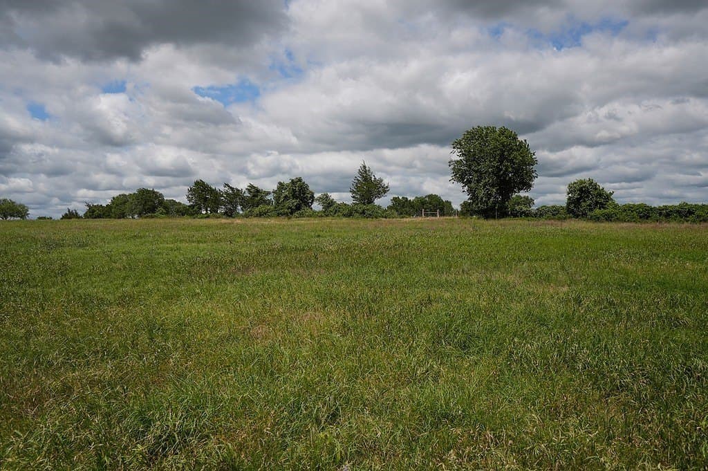 39.14 acres in Fayette County featured view