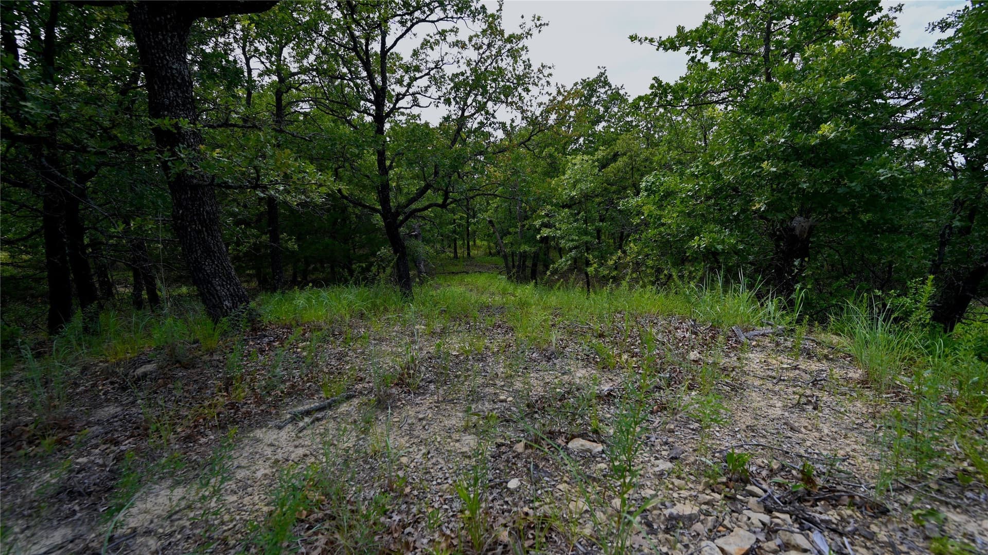 0.89 acres in Montague County - photo 16