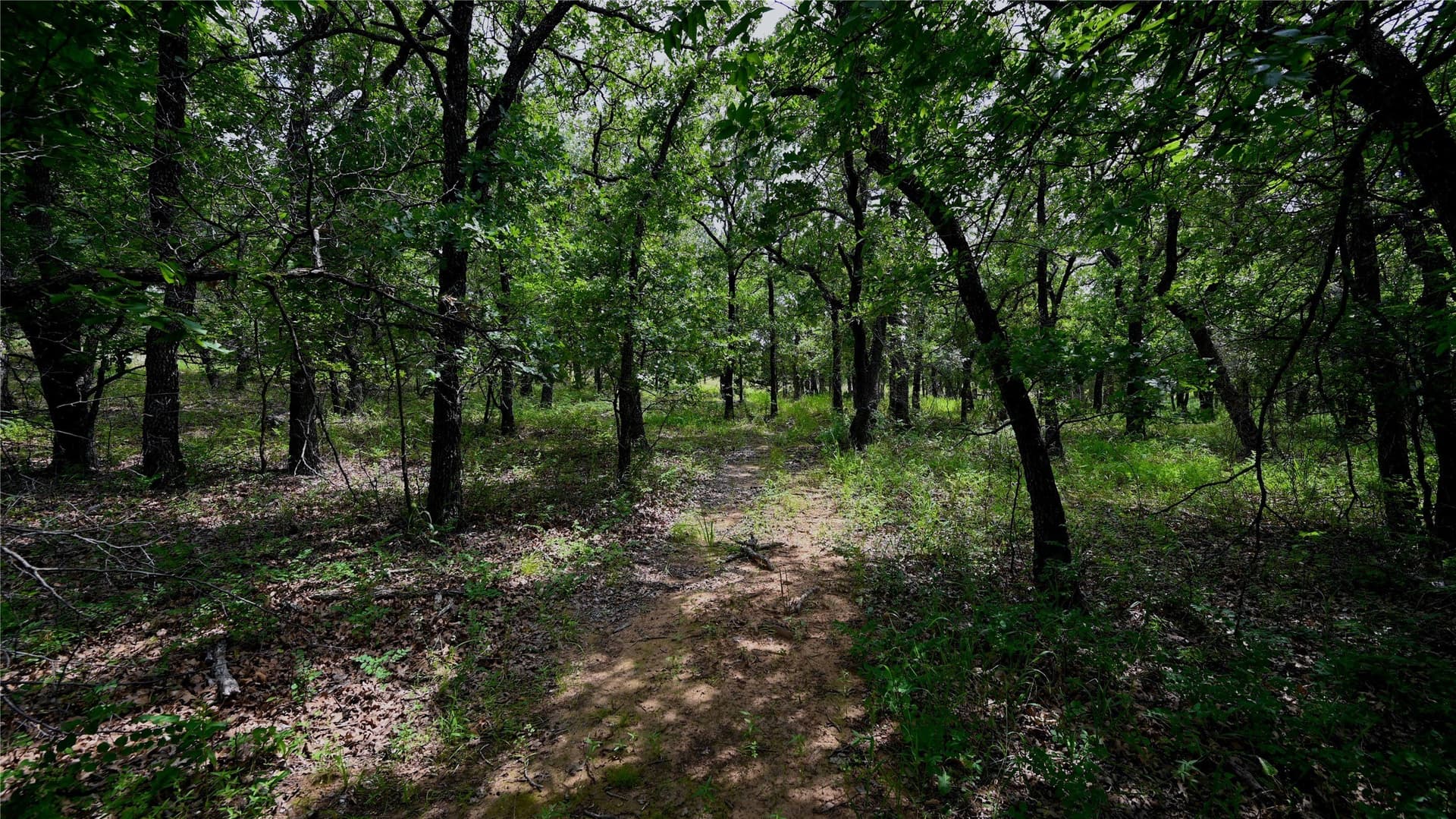 0.89 acres in Montague County - photo 21