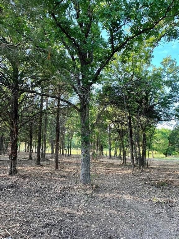 65 acres in Henderson County gallery image 3