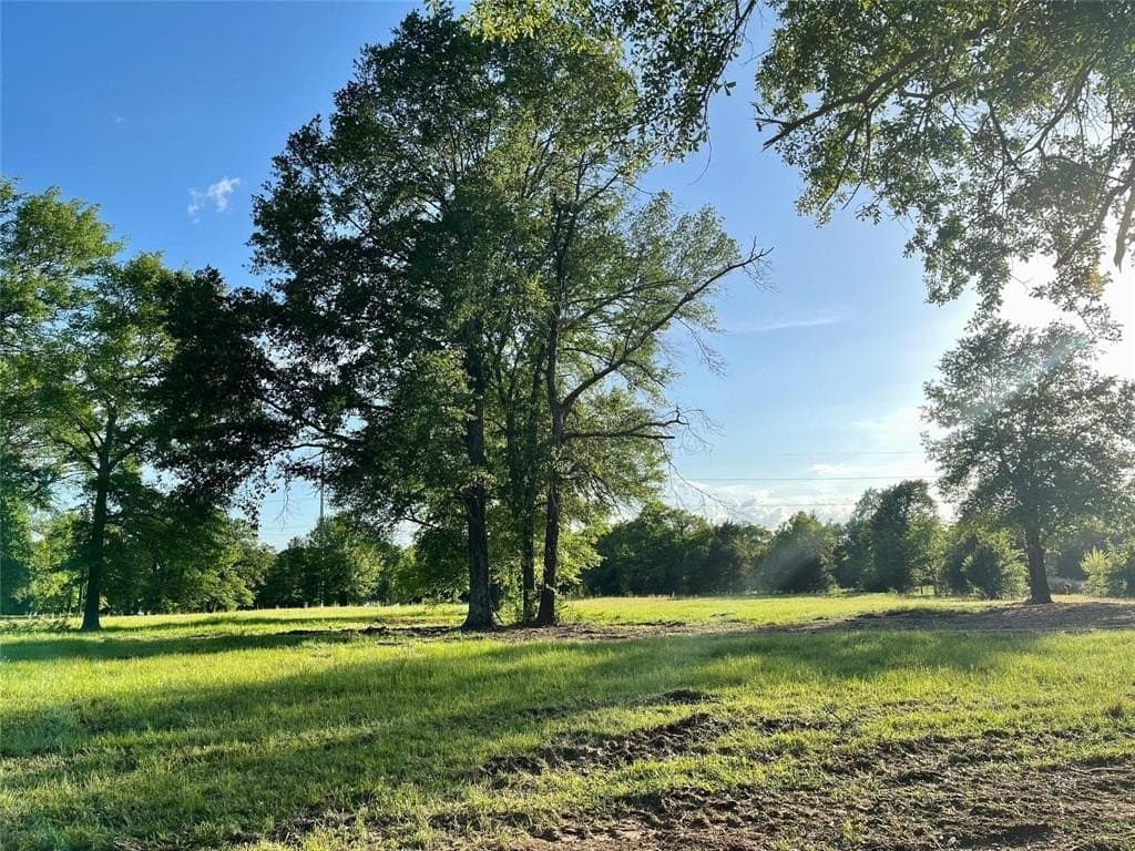 65 acres in Henderson County