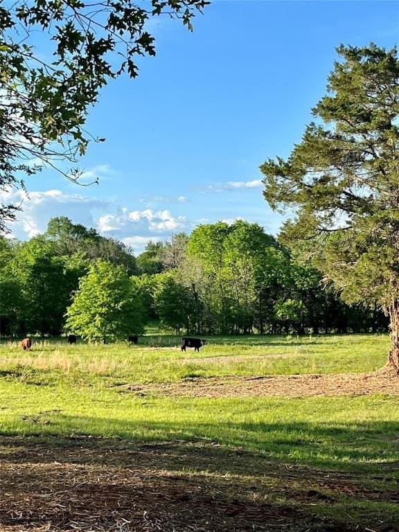 65 acres in Henderson County featured view