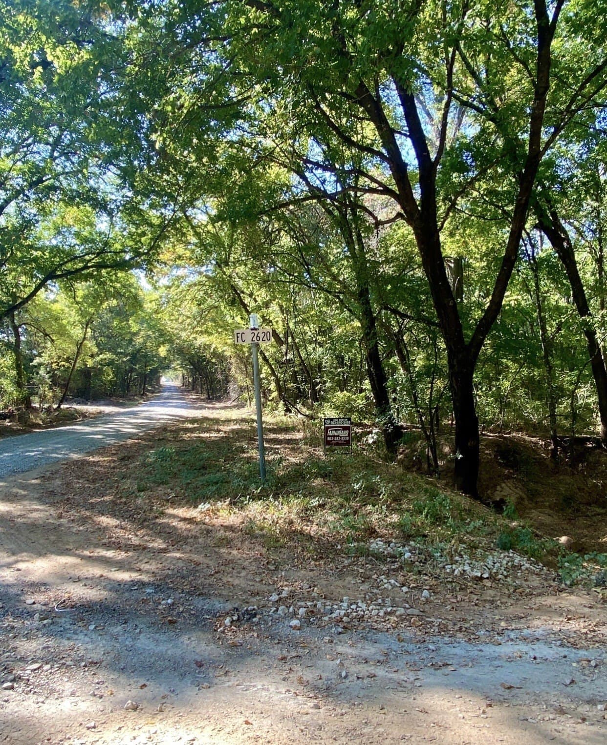 20.08 acres in Fannin County - photo 3