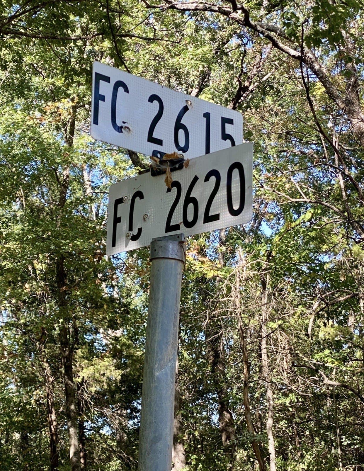 20.08 acres in Fannin County - photo 8