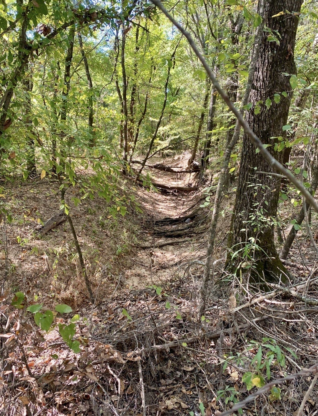 20.08 acres in Fannin County - photo 2