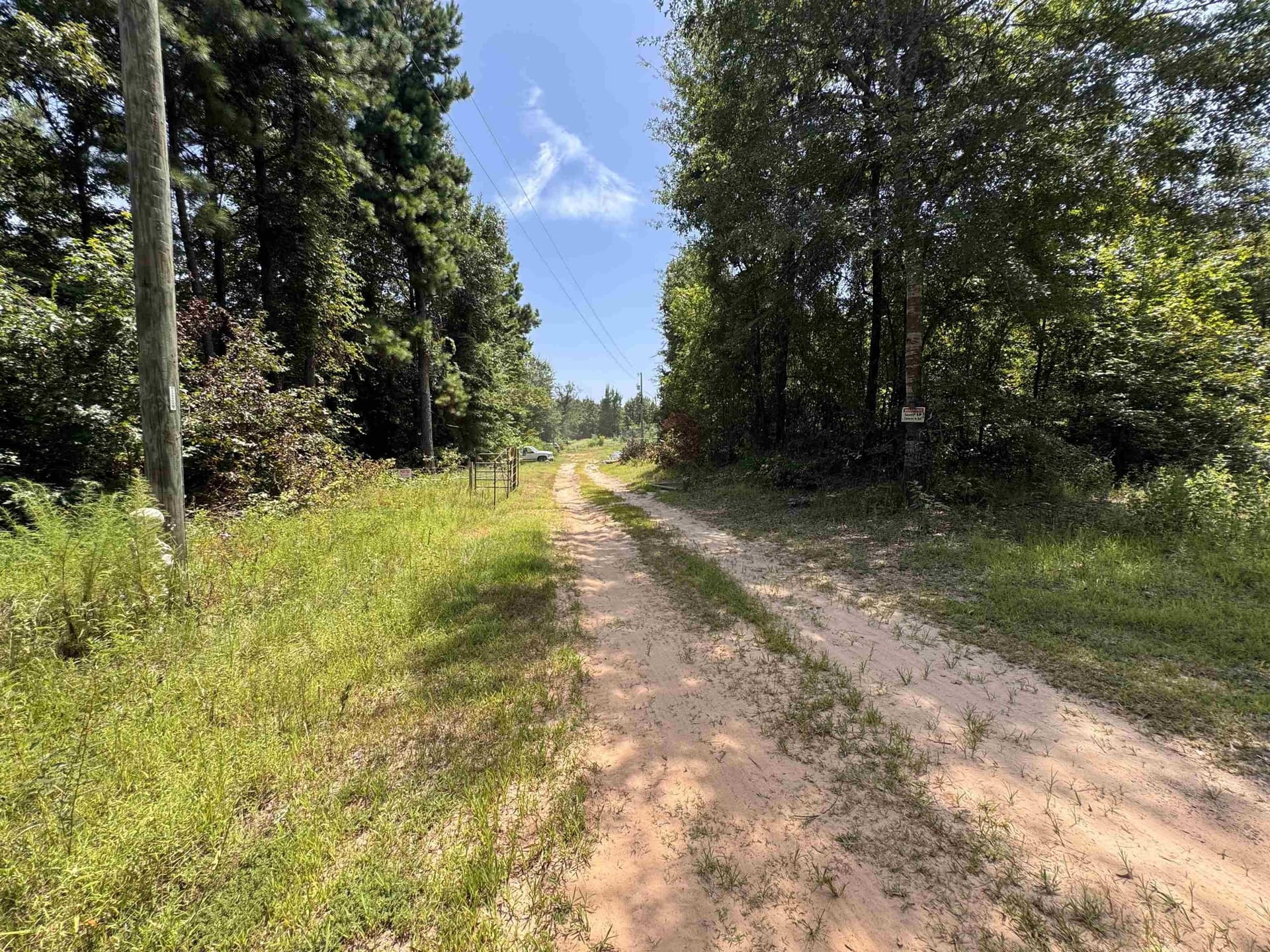 15.99 acres in Texas County gallery image 4