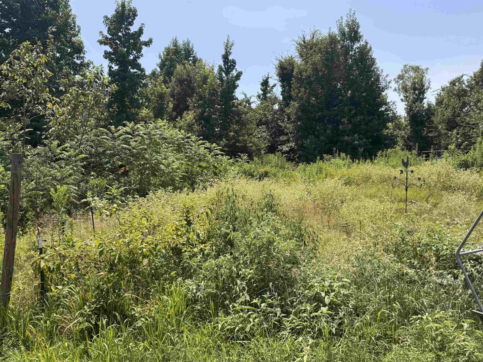 15.99 acres in Texas County - photo 9