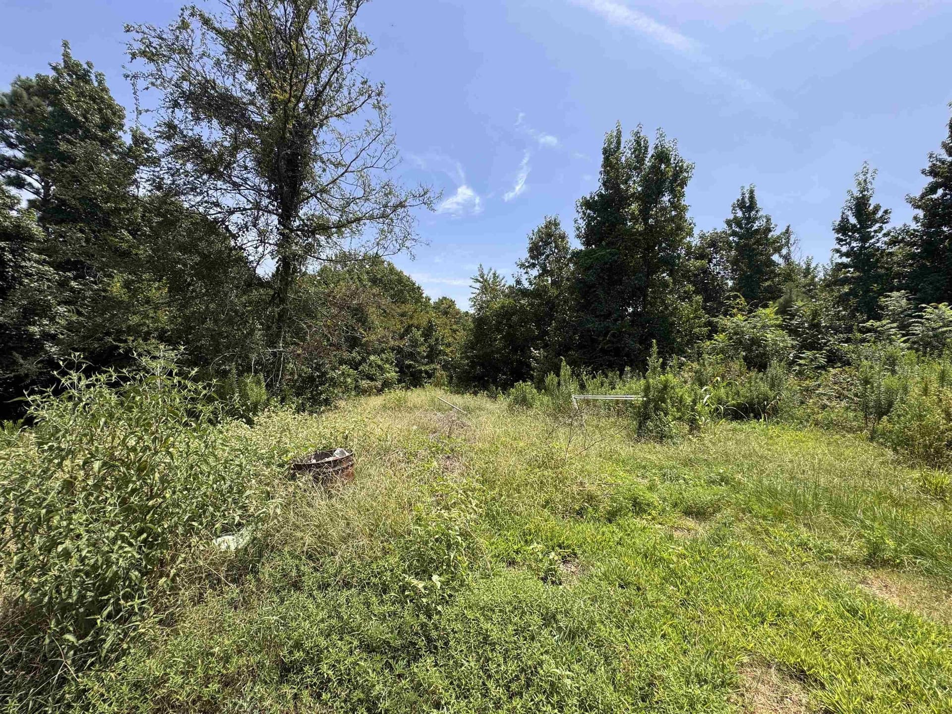 15.99 acres in Texas County - photo 11