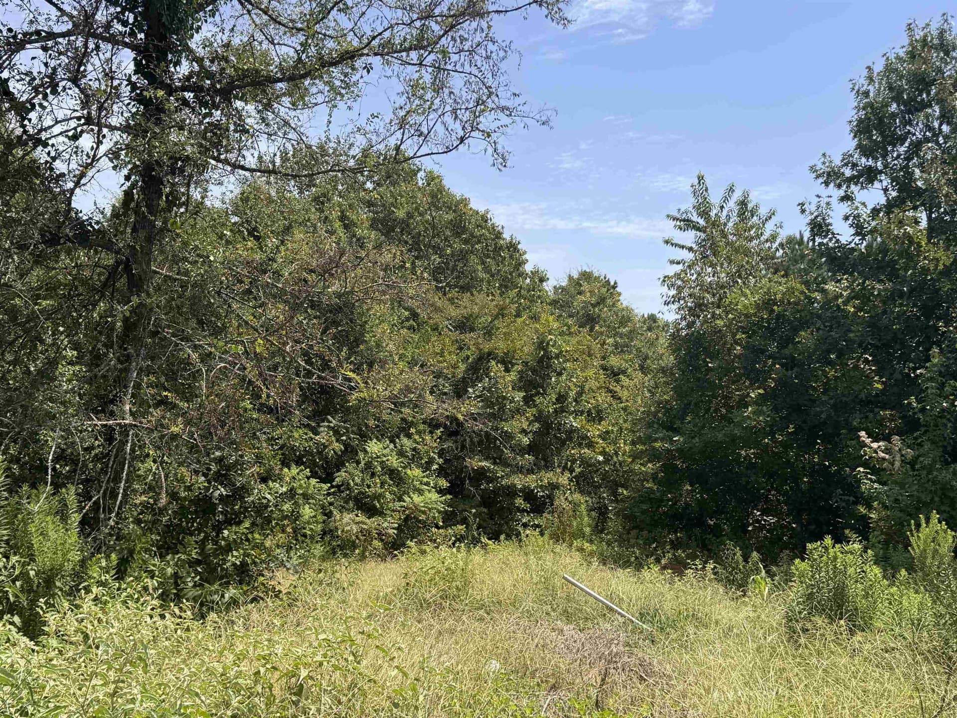 15.99 acres in Texas County - photo 12