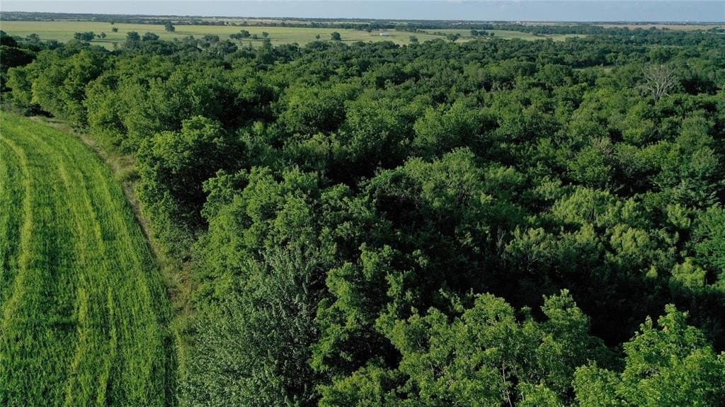36 acres in Falls County featured view