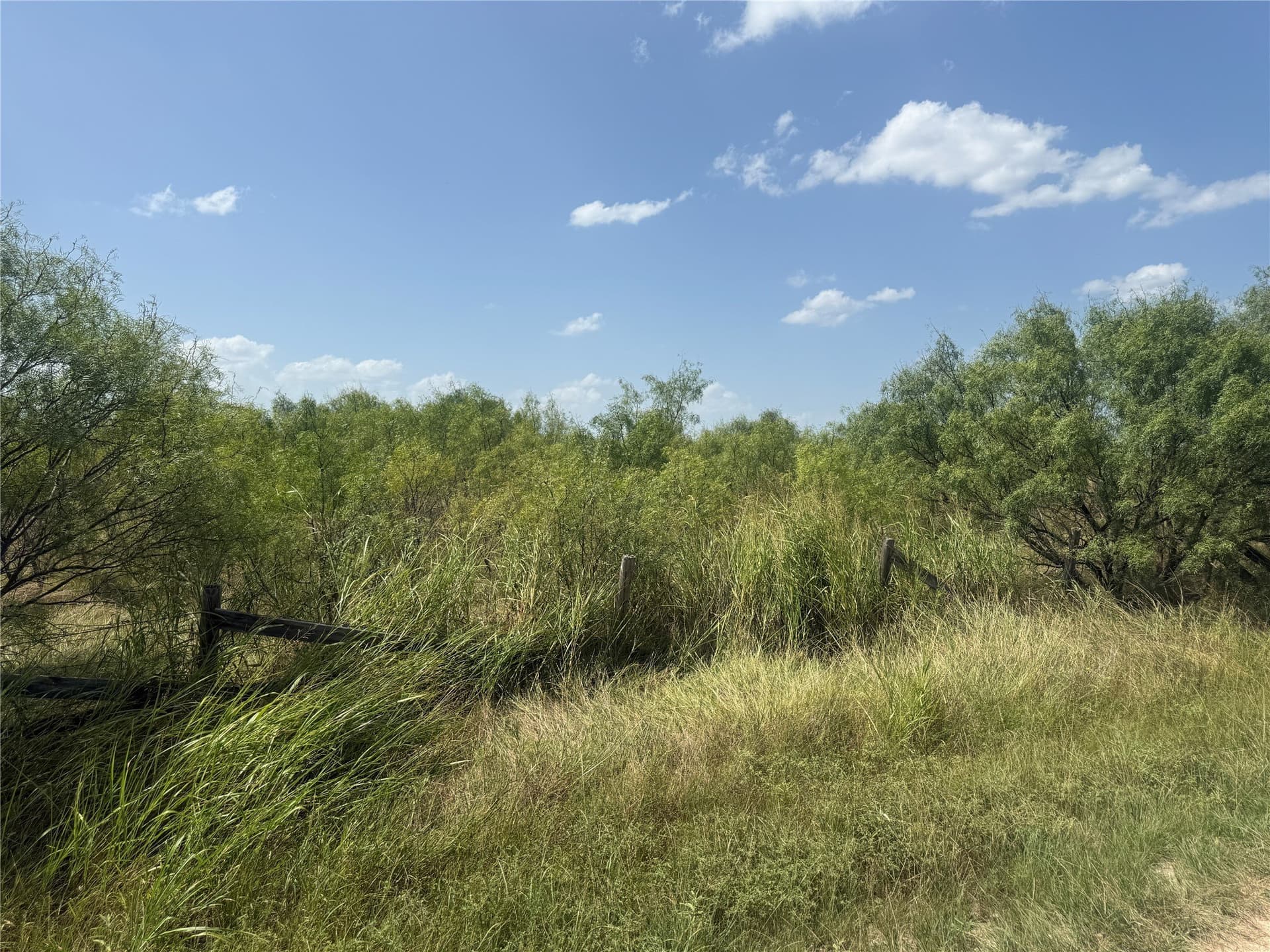 22.31 acres in Brown County - photo 4