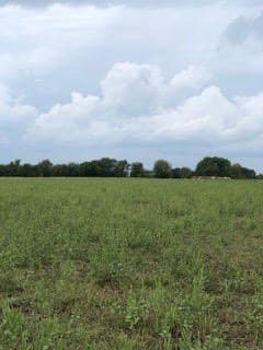 328 acres in Red River (TX) County - photo 5