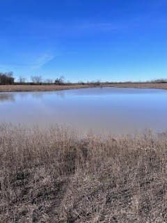 328 acres in Red River (TX) County - photo 9