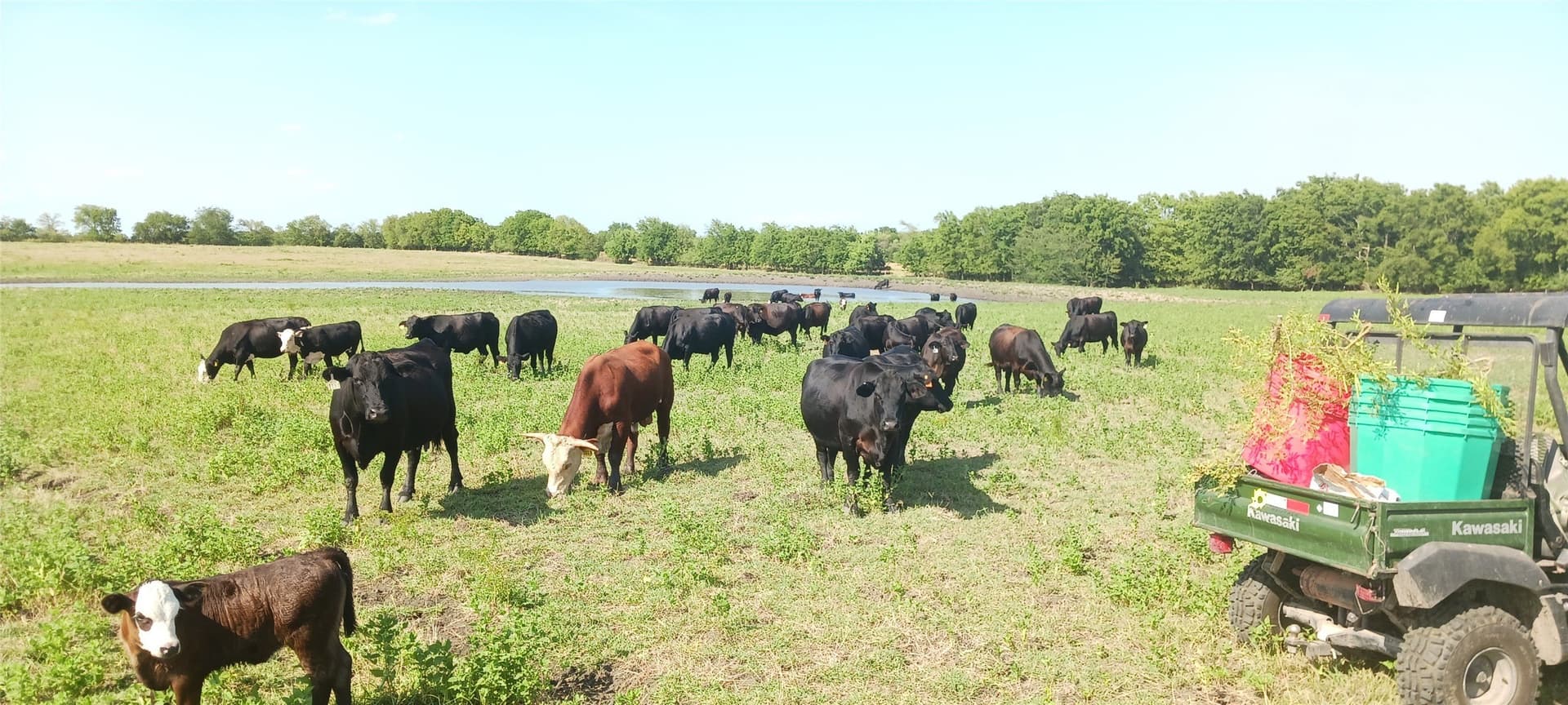328 acres in Red River (TX) County - photo 12