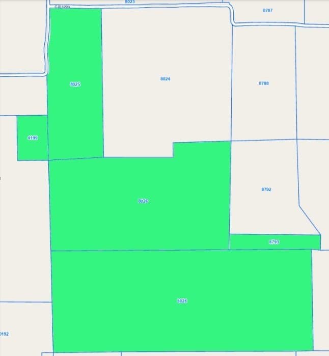 328 acres in Red River (TX) County - photo 2