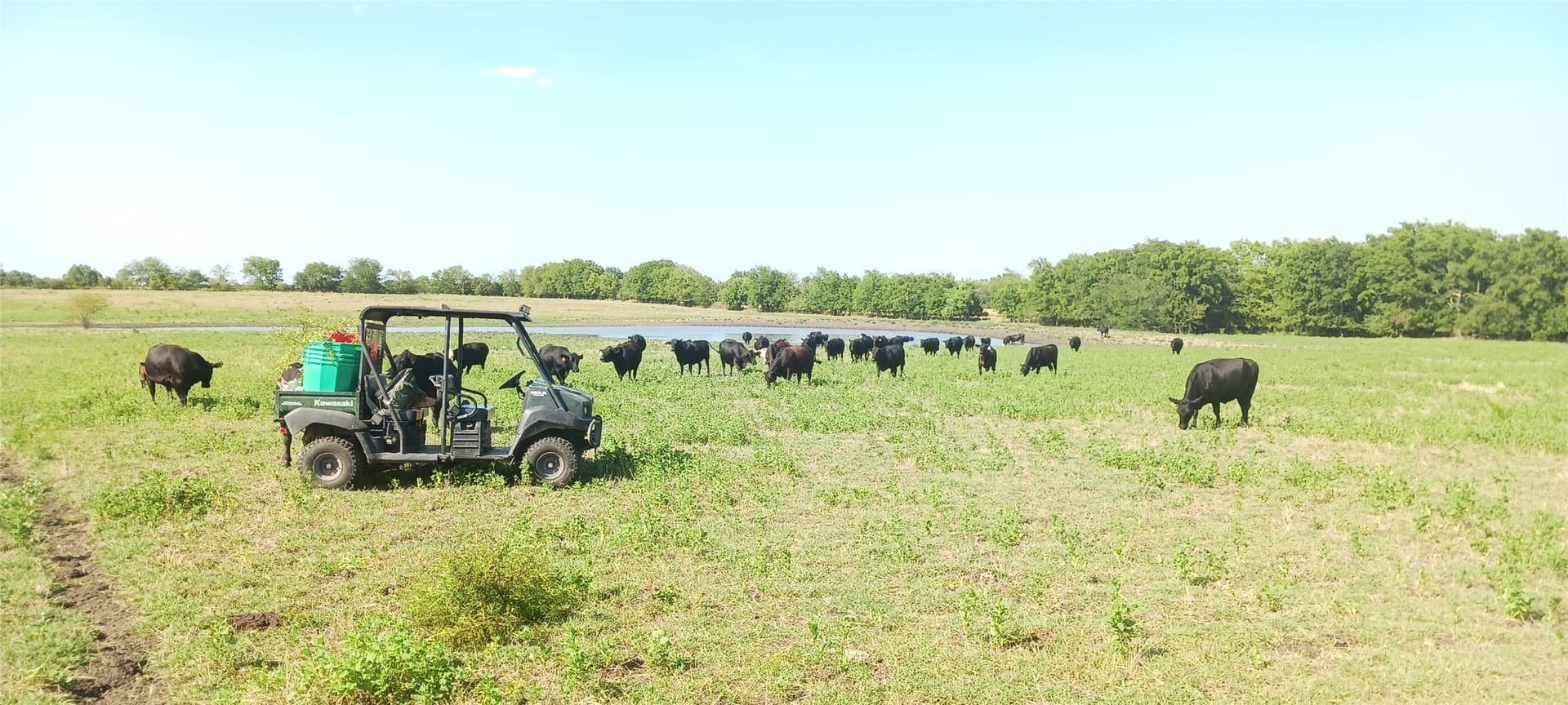 328 acres in Red River (TX) County - photo 13