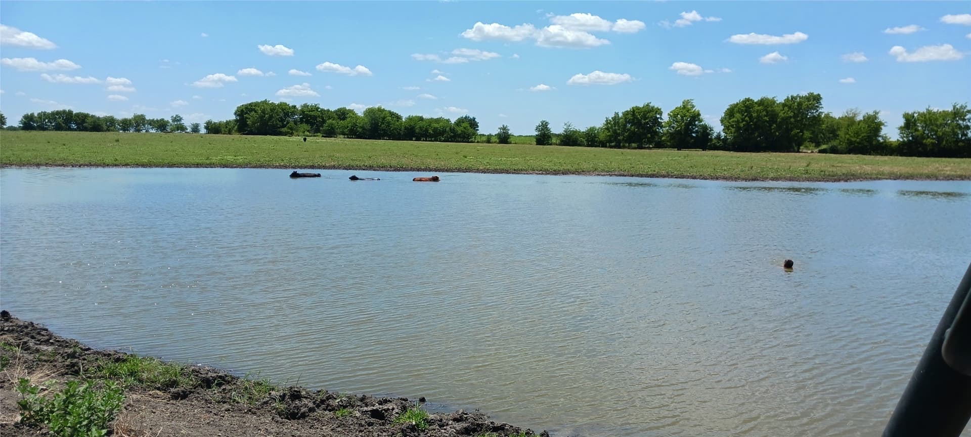 328 acres in Red River (TX) County - photo 3