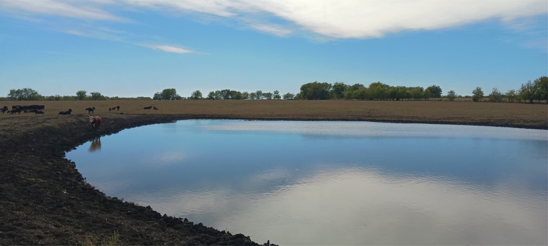 328 acres in Red River (TX) County - photo 7