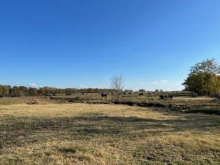 328 acres in Red River (TX) County - photo 4