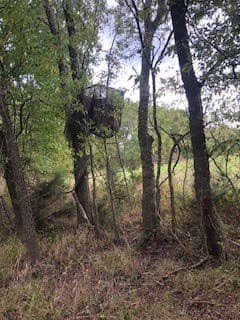 328 acres in Red River (TX) County - photo 10