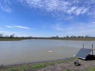 328 acres in Red River (TX) County - photo 8