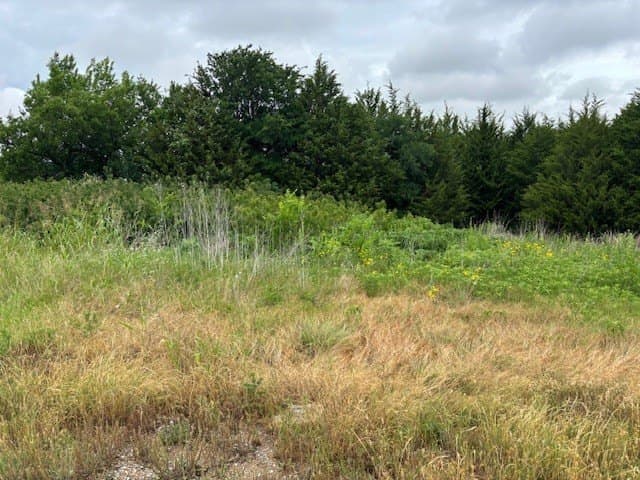 0.14 acres in Dallas County - photo 5