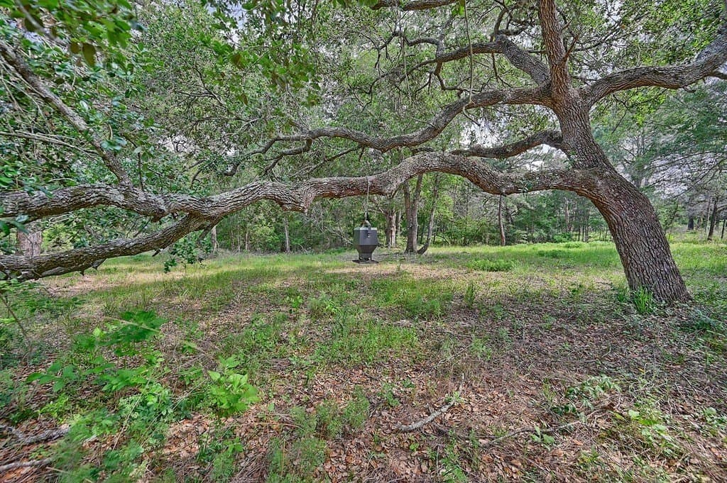 22.35 acres in Austin County featured view