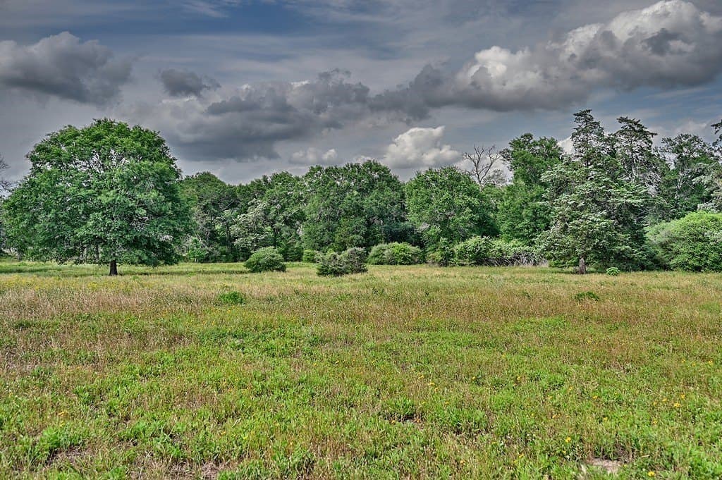 22.35 acres in Austin County