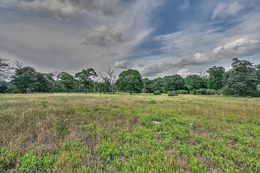 22.35 acres in Austin County gallery image 4