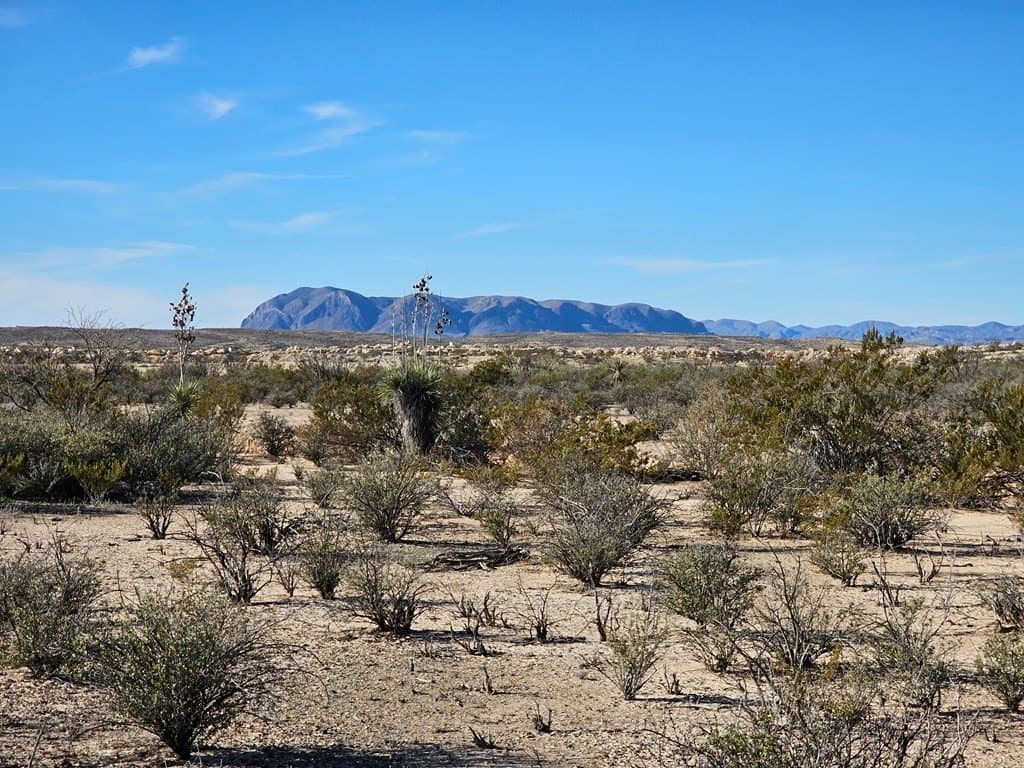 20 acres in Brewster County - photo 10