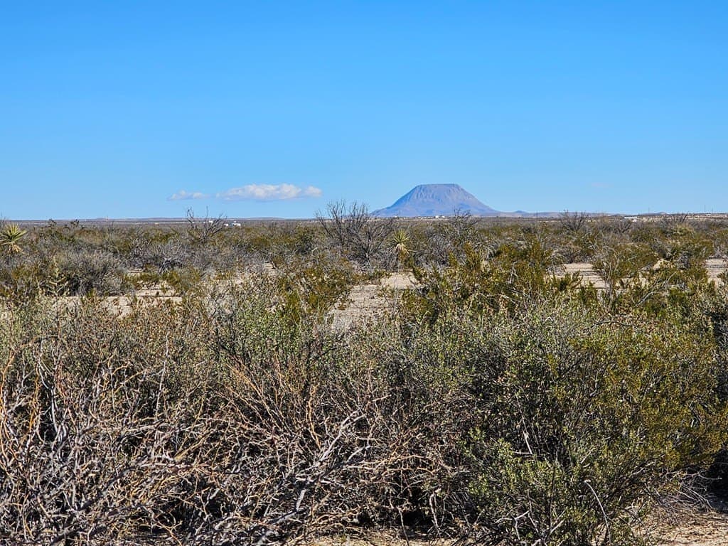 20 acres in Brewster County - photo 9