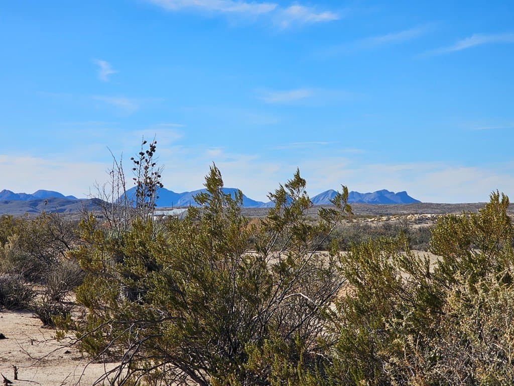 20 acres in Brewster County gallery image 3