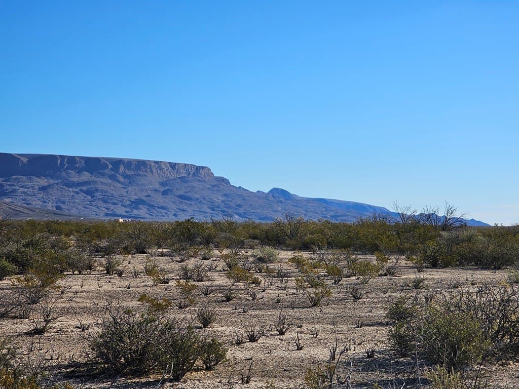 20 acres in Brewster County - photo 7