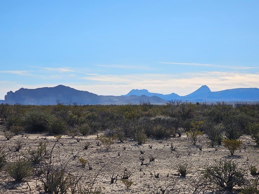 20 acres in Brewster County - photo 14
