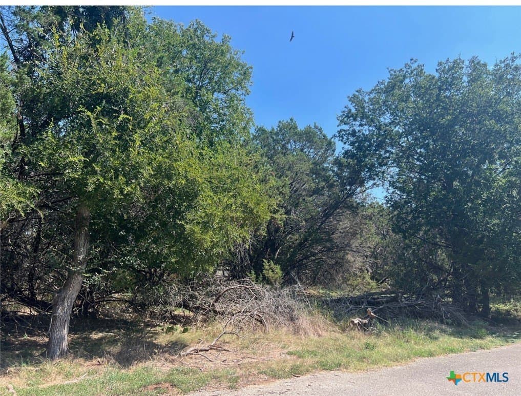 0.1 acres in Bell County gallery image 2