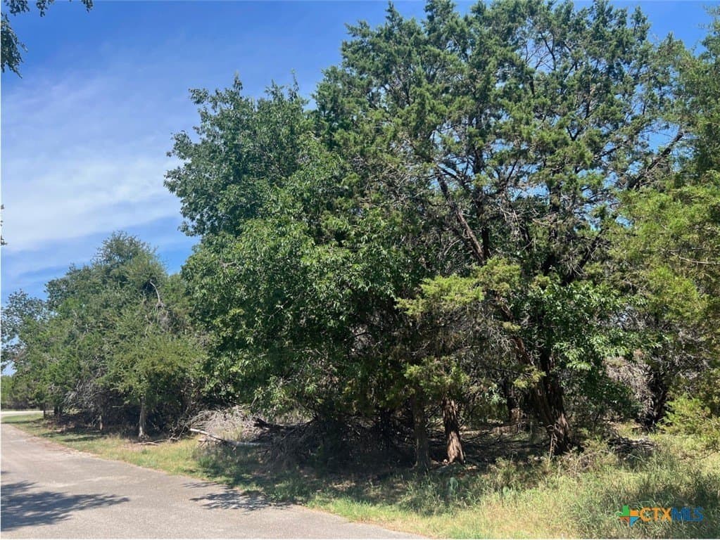 0.1 acres in Bell County gallery image 3