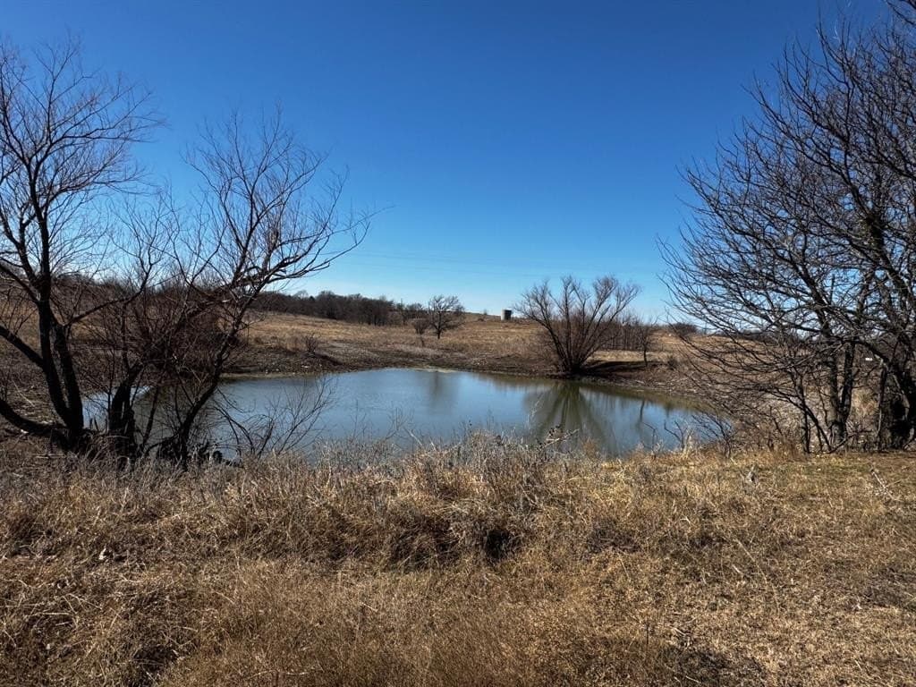 98.39 acres in Wise County gallery image 4