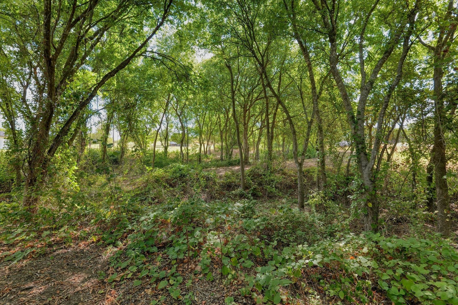 2.21 acres in McLennan County - photo 8