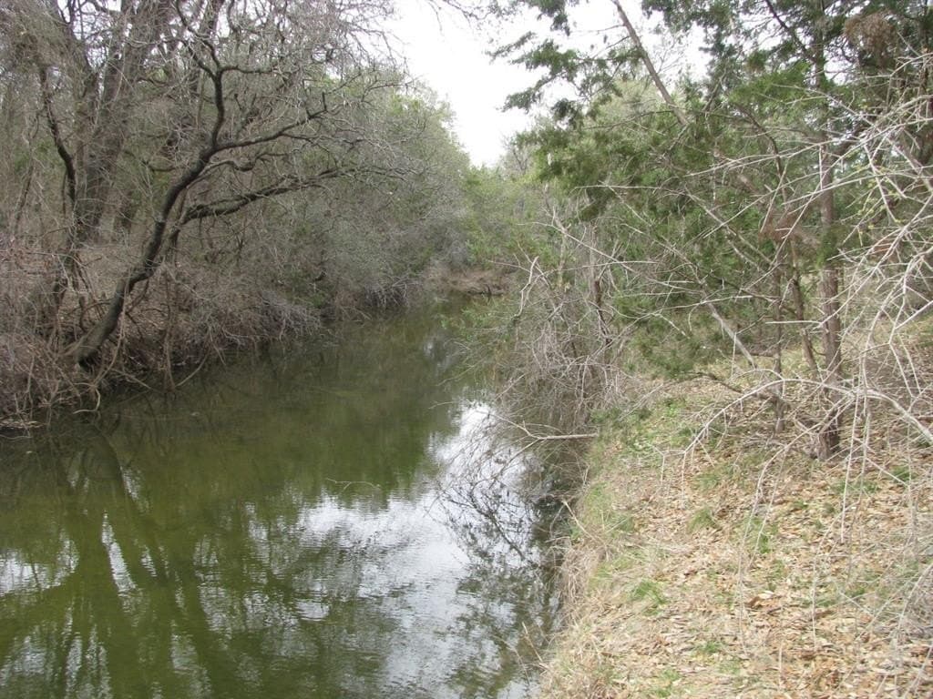 48 acres in Coryell County gallery image 2