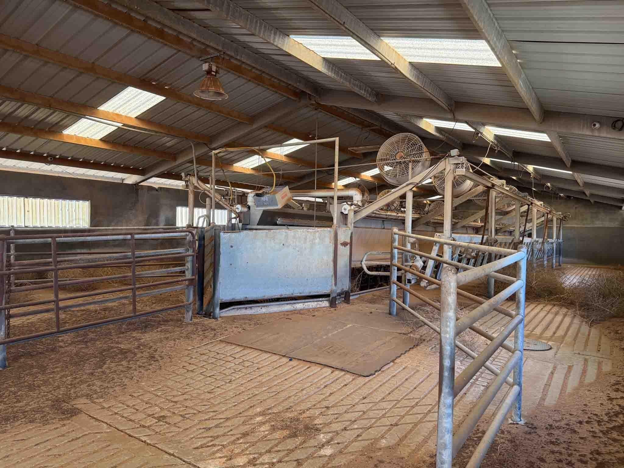 280 acres in Terry County - photo 7