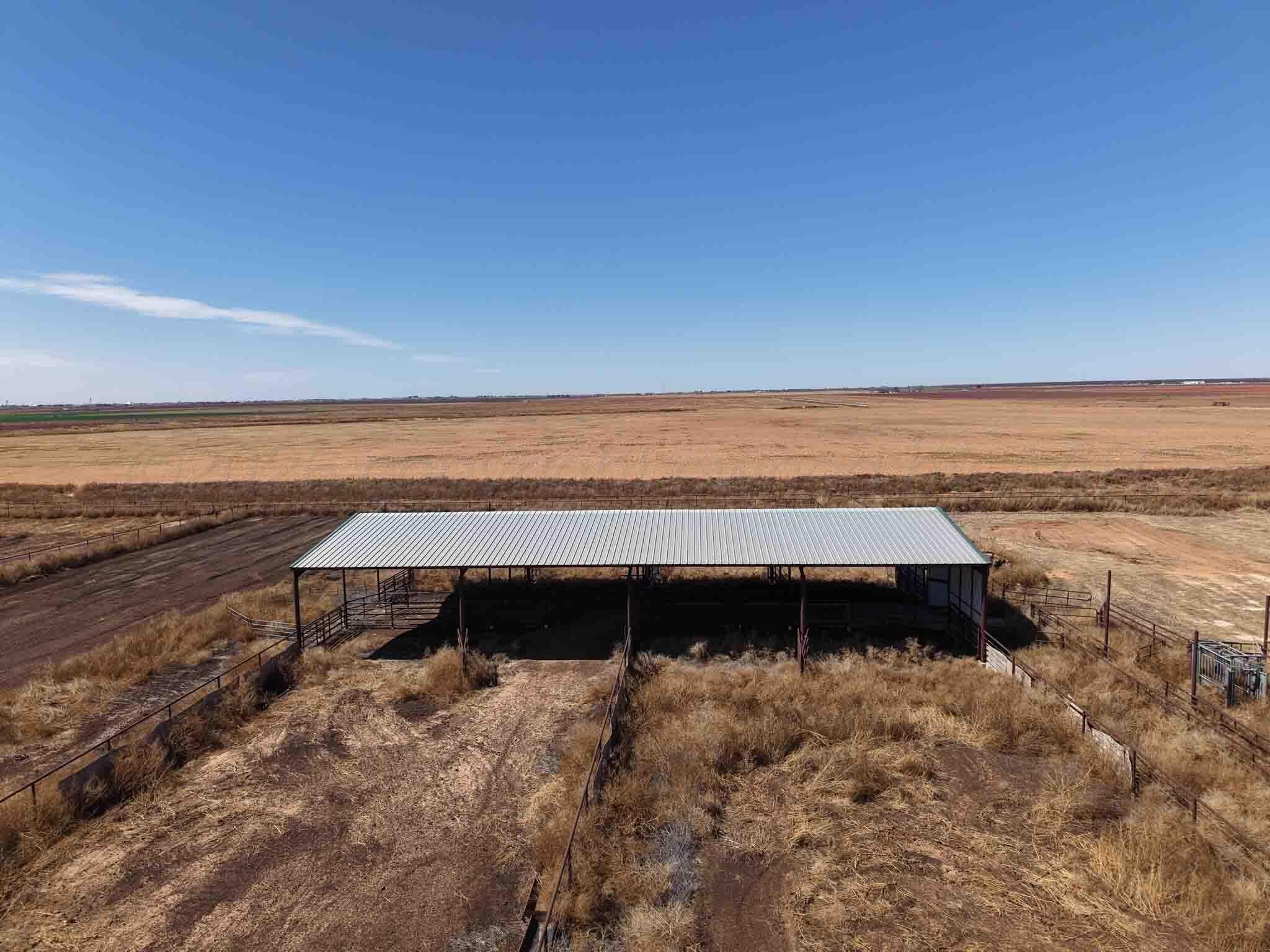 280 acres in Terry County - photo 41
