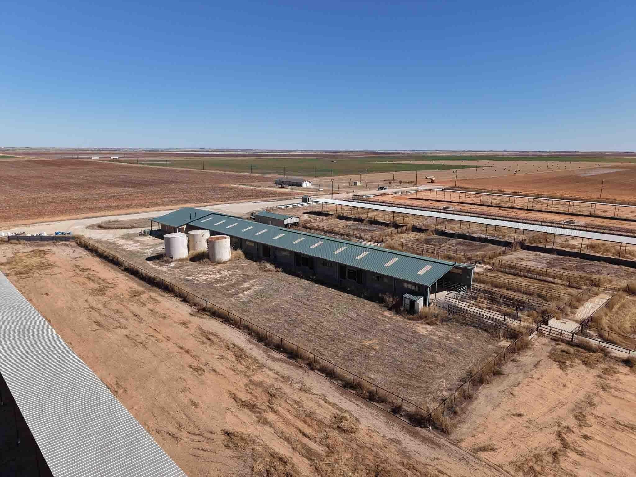 280 acres in Terry County gallery image 3